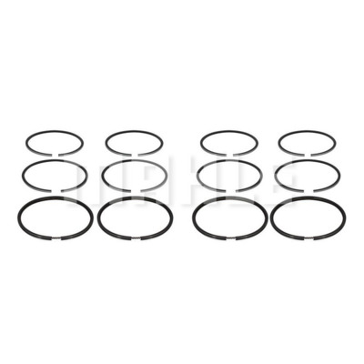 Piston Ring Kit 2