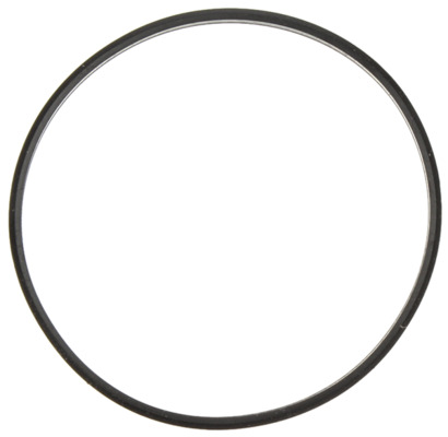 MAHLE C32631 Seal Ring, coolant pipe