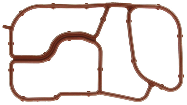 Gasket, oil cooler