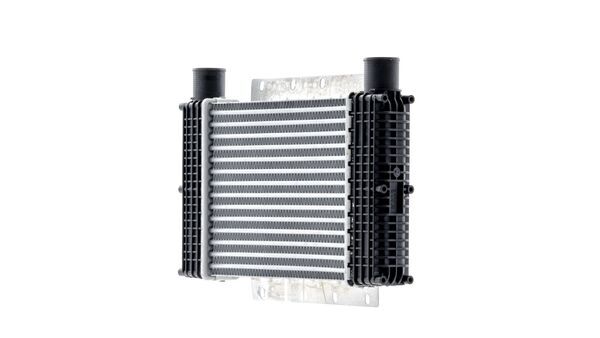 Charge Air Cooler 5