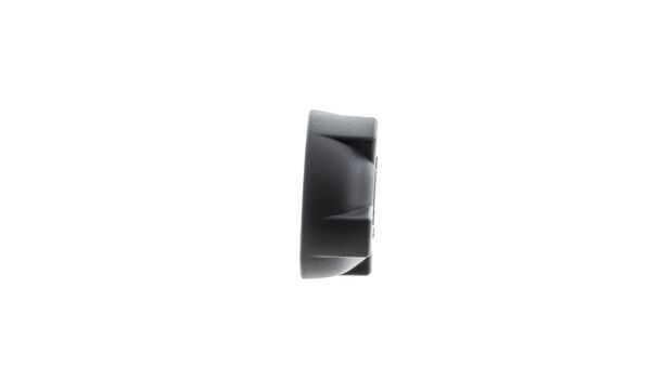 Cap, coolant tank 5