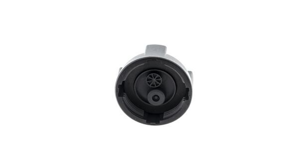 Cap, coolant tank 10