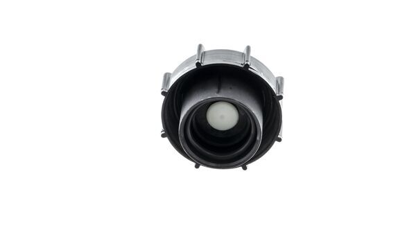 Cap, coolant tank 10