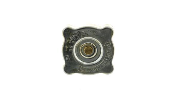 Cap, radiator 10