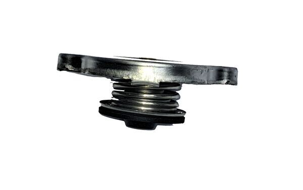 Cap, coolant tank 2