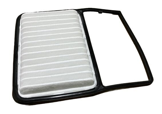 VIC A1016 AIR  FILTER  TERIOS