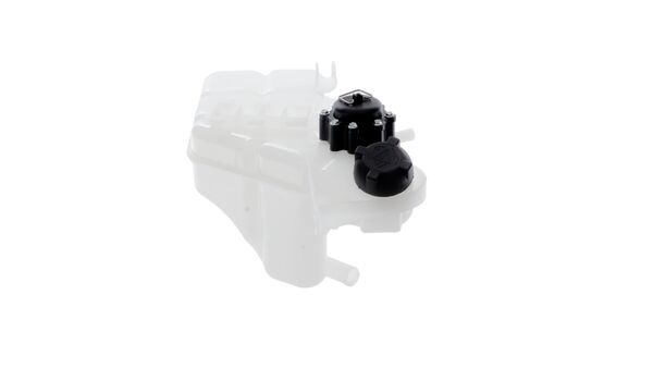Expansion Tank, coolant 4