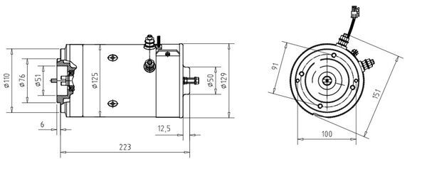 Electric Motor