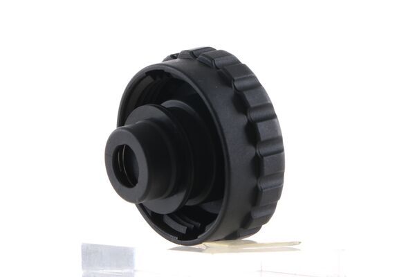 Cap, coolant tank 2