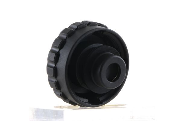 Cap, coolant tank 10