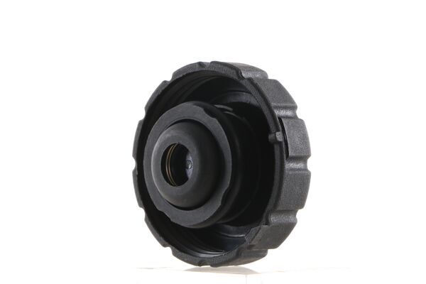Cap, coolant tank 2