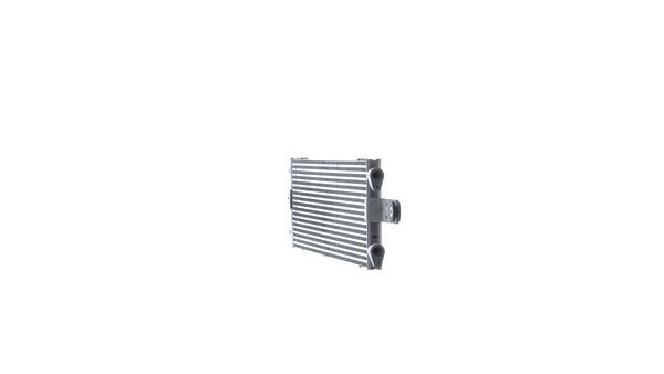 Oil Cooler, engine oil 18
