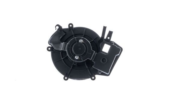 Interior Blower