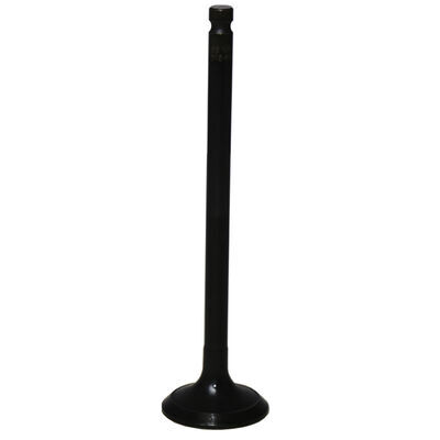 Exhaust Valve