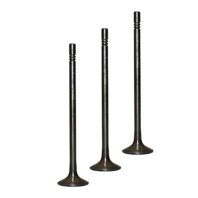 Exhaust Valve