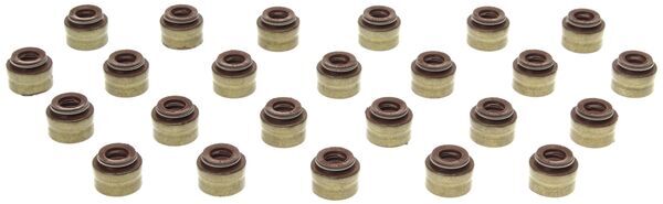 Seal Set, valve stem