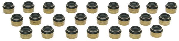 Seal Set, valve stem