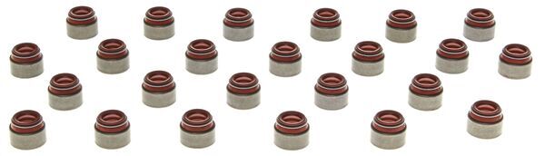 Seal Set, valve stem
