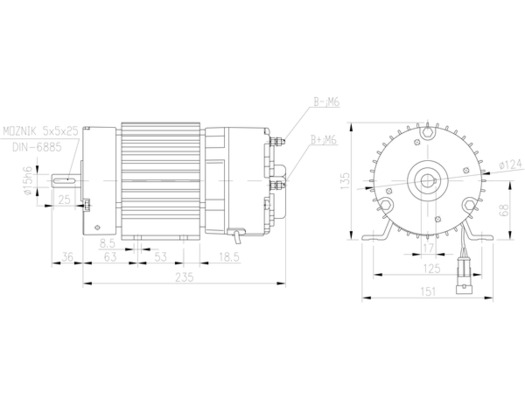 Electric Motor