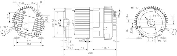 Electric Motor
