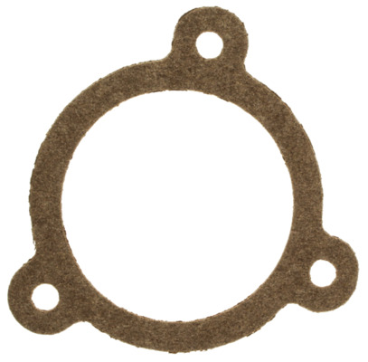 Gasket, coolant flange