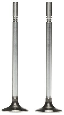Intake Valve 2