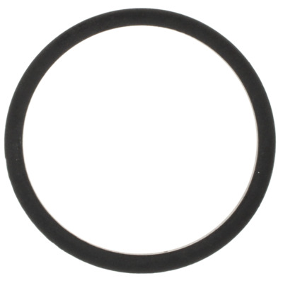 Gasket, thermostat housing