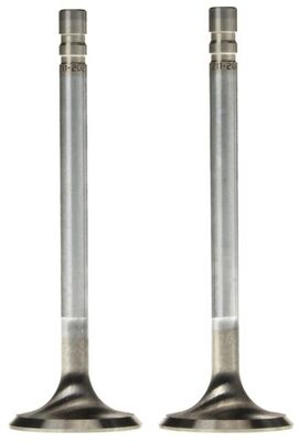 Exhaust Valve 2