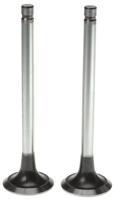 Exhaust Valve