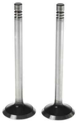 Exhaust Valve