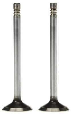 Exhaust Valve 2