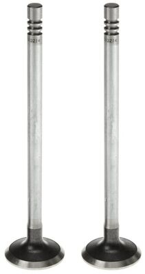 Exhaust Valve