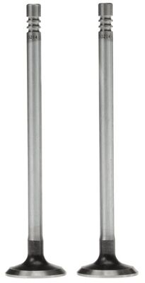 Exhaust Valve 2