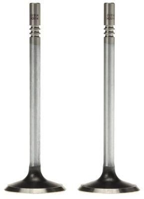 Exhaust Valve 2
