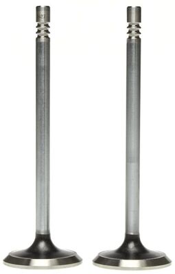 Exhaust Valve 2