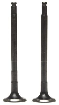 Exhaust Valve 2