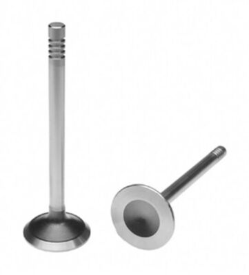 Exhaust Valve
