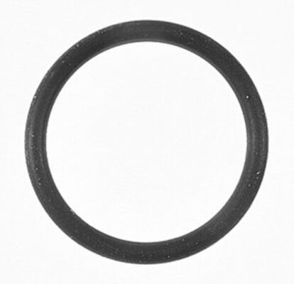 Tätningsring, oljepump