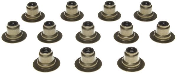 Seal Ring, valve stem