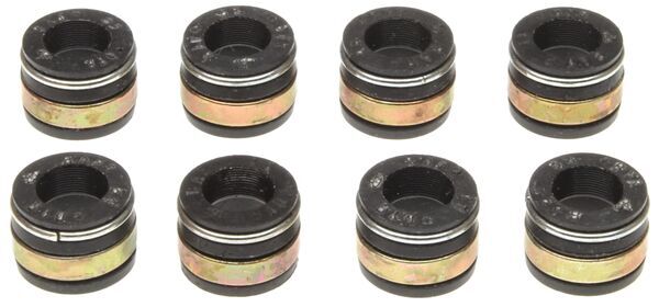 Seal Set, valve stem