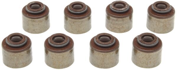 Seal Set, valve stem