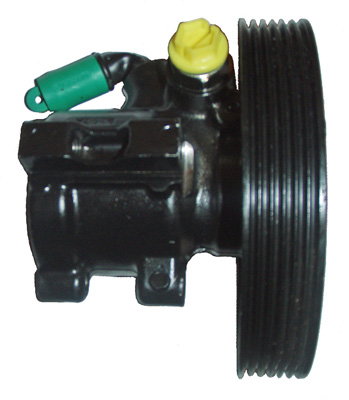 LIZARTE 04.05.0303-2 Hydraulikpumpe, Lenkung für CITROËN