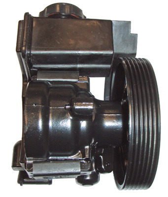 LIZARTE 04.07.0281 Hydraulikpumpe, Lenkung für CITROËN