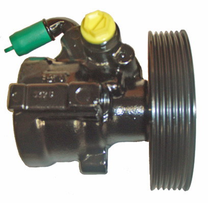 LIZARTE 04.07.0300-2 Hydraulikpumpe, Lenkung für CITROËN