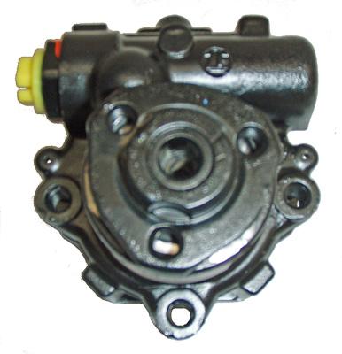 LIZARTE 04.11.0206 Hydraulikpumpe, Lenkung für SEAT SKODA VW