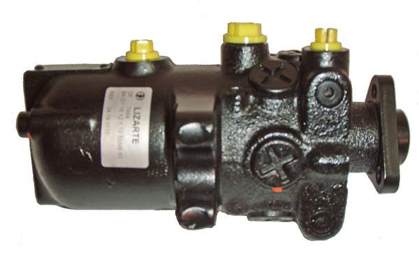 LIZARTE 04.18.0110 Hydraulikpumpe, Lenkung für AUDI HUMMER KIA VW