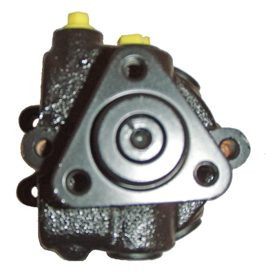 LIZARTE 04.18.0110 Hydraulikpumpe, Lenkung für AUDI HUMMER KIA VW
