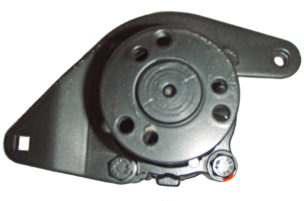 LIZARTE 04.23.0300 Hydraulikpumpe, Lenkung für AUDI