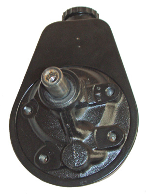 LIZARTE 04.30.0100 Hydraulikpumpe, Lenkung für FORD