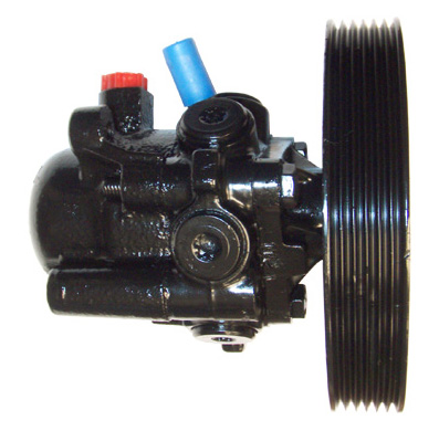 LIZARTE 04.36.0110 Hydraulikpumpe, Lenkung für CITROËN